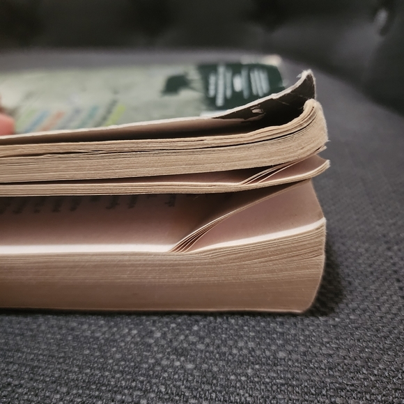 Warriors: Super Edition Tigerheart's Shadow - Picture 10 of 12